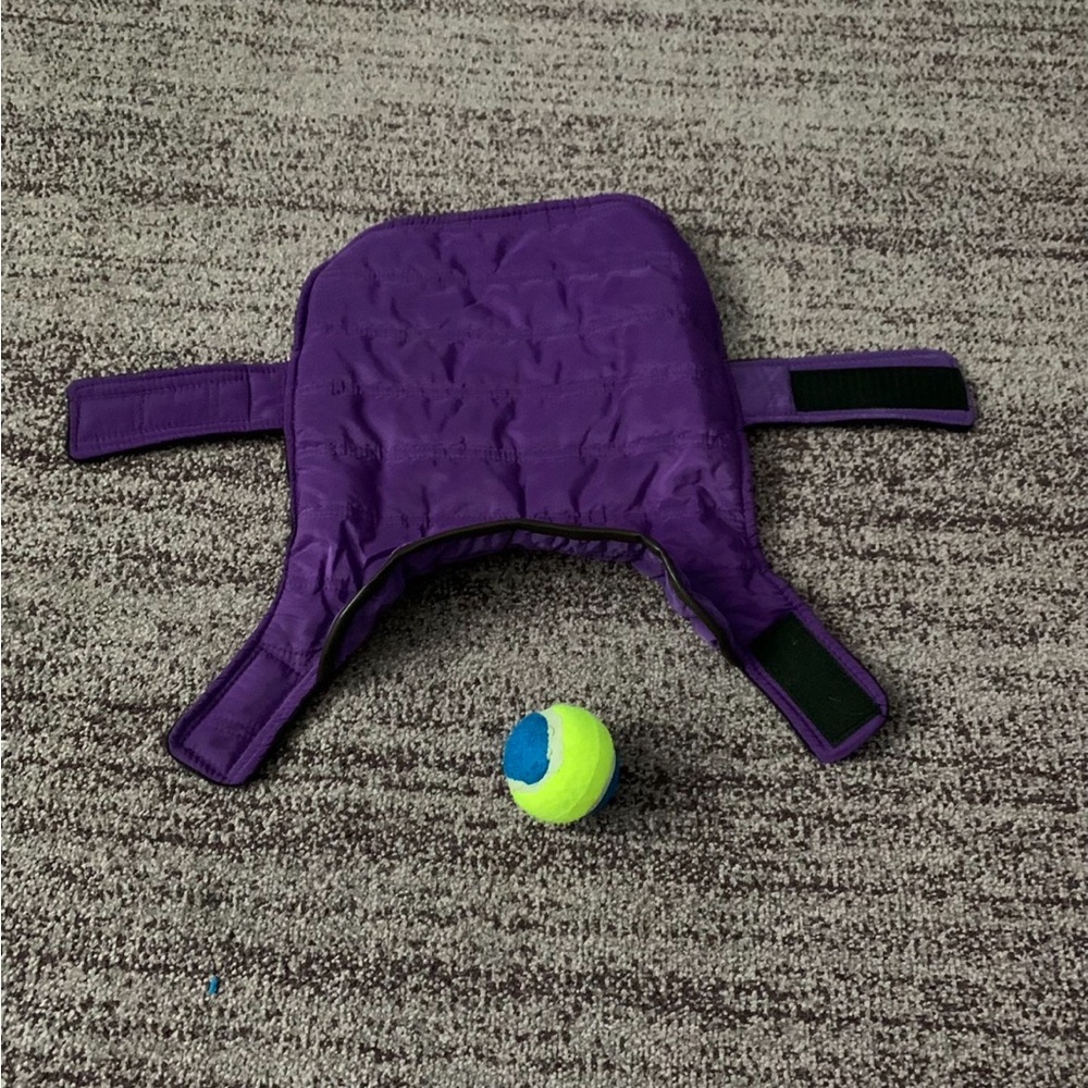 Dog Vest and Tennis Ball
